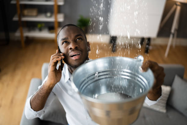 Water damage restoration insurance claims in Mount Vernon, MD