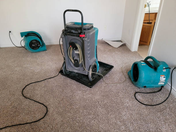 Best Flooded house restoration  in Mount Vernon, MD