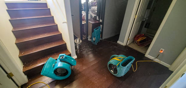 Best 24-hour water damage restoration  in Mount Vernon, MD