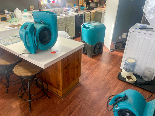 Best Water damage restoration experts  in Mount Vernon, MD