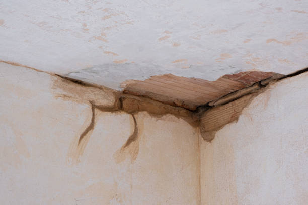 Best Flood damage cleanup  in Mount Vernon, MD