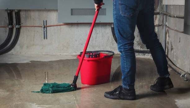 Best Water damage restoration mold remediation  in Mount Vernon, MD