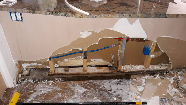Best Flood restoration services  in Mount Vernon, MD