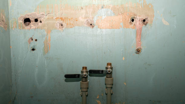 Best Flood restoration services  in Mount Vernon, MD