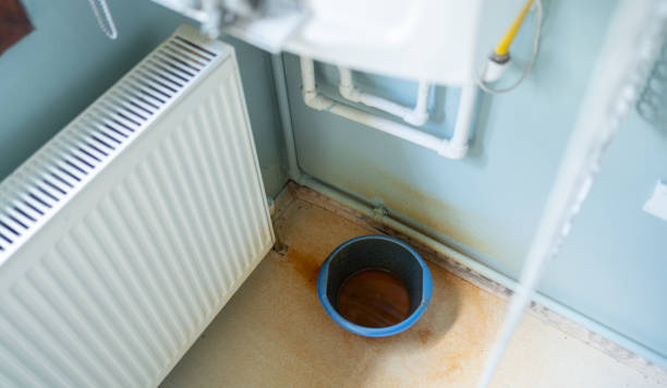 Best Water damage cleanup near me  in Mount Vernon, MD