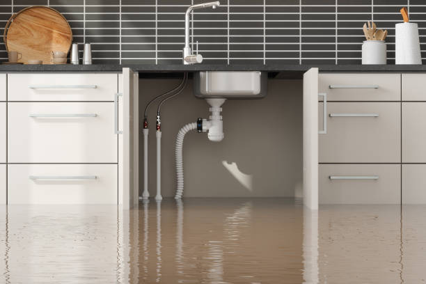 Professional Water damage restoration in Mount Vernon, MD