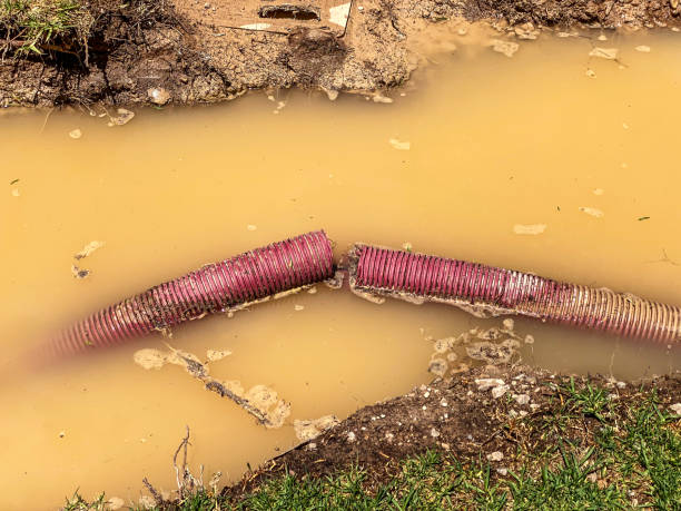 Best Basement water damage restoration  in Mount Vernon, MD