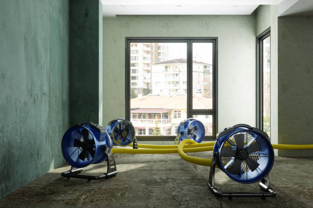 Fire Damage Restoration in Mount Vernon, MD