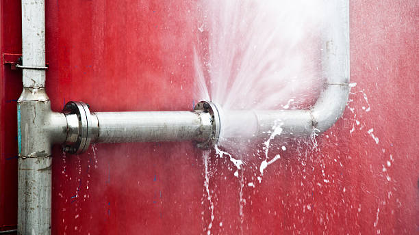 Best 24/7 water damage repair  in Mount Vernon, MD