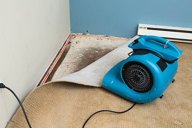 Best 24-hour water damage restoration  in Mount Vernon, MD