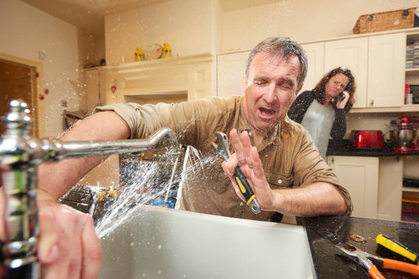 Best Ceiling water damage repair  in Mount Vernon, MD